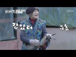 꿩을 맨손으로?! 카리스마 작렬 장모님 등장! 잡았다 요놈~ [아내의 맛] 35회 20190219