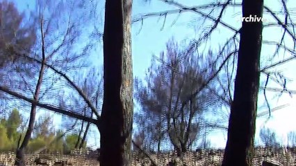 LA QUOTIDIENNE - L'INVITÉ : La Quotidienne - L'invité : Pierre-Christophe Herzog 14 03 19