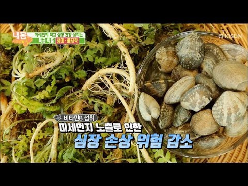미세먼지 막고! 심장 건강 살리는 특급 식품은?! [내 몸 사용설명서] 240회 20...