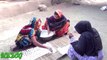 Kumro Bori Making -মজাদর কুমড়া /ডাইল বড়ি তৈরীর পদ্ধতি দেখুন HD