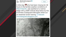 UK's Coastguard Helicopter Crew Spots Lost Dog In Middle Of Snowy Landscape