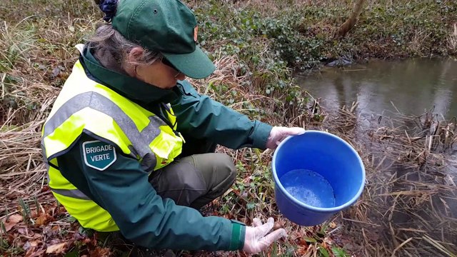 Batraciens : Migration sous protection