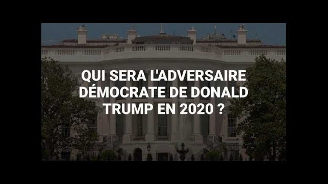 Les candidats démocrates se bousculent pour affronter Donald Trump en 2020