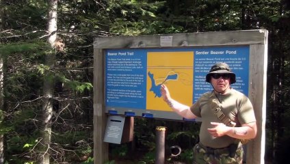 Algonquin Park Beaver Pond Trail (2011)