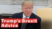 Donald Trump Says Theresa May Should've Taken His Advice Over Brexit, Says UK Shouldn't Have New Vote