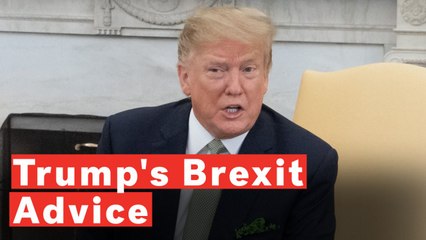 Скачать видео: Donald Trump Says Theresa May Should've Taken His Advice Over Brexit, Says UK Shouldn't Have New Vote