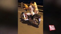 3 kedi 1 köpek ile çılgın motosiklet yolculuğu