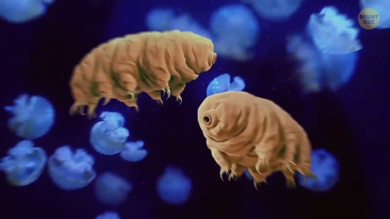 11 Animals Scientists Didn't Know About Until Recently