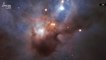 Check Out The ‘Cosmic Bat’ Living In A Dark Corner of the Orion Constellation