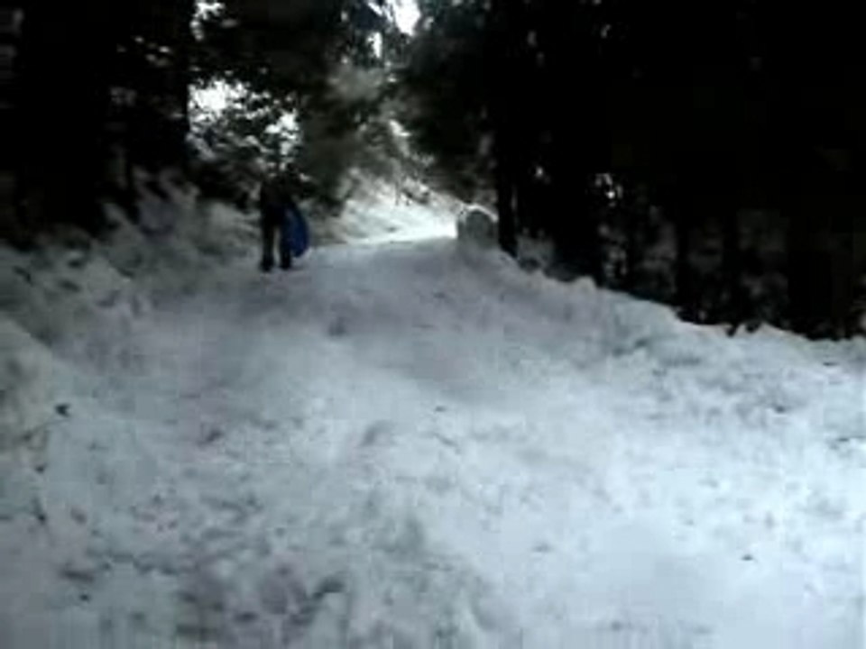 Luge
