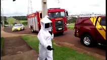 Homem e mulher ficam feridos após ataque de abelhas