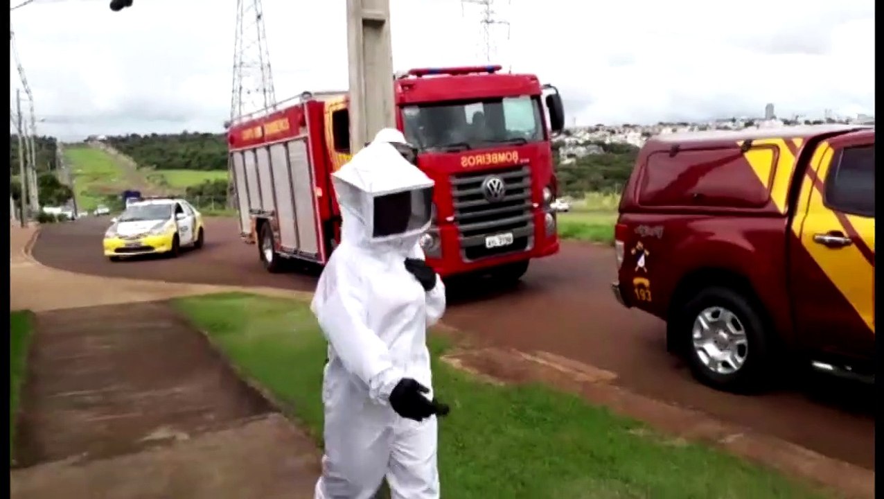 Homem e mulher ficam feridos após ataque de abelhas