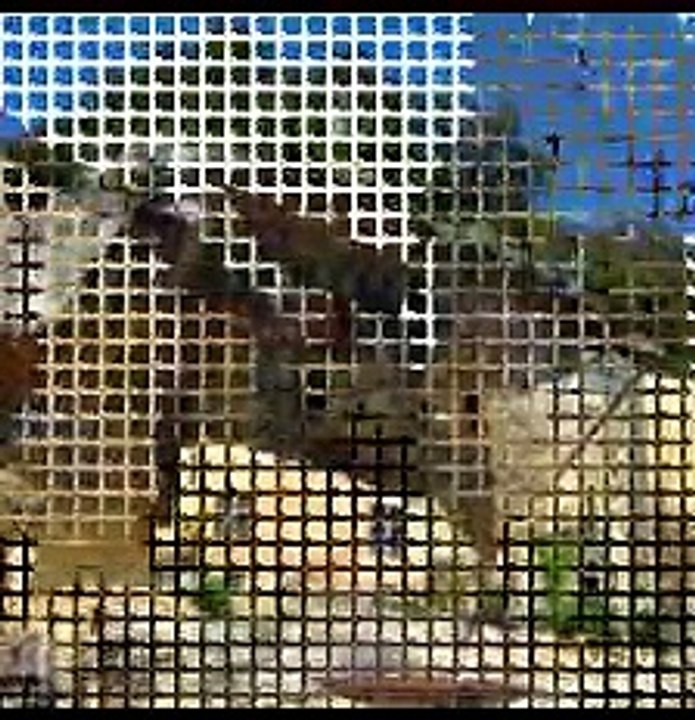 Marathon des Forts 2019 pour nos deux akrojedi: 17 mars 2019 !! Bravo et bon marathon!!