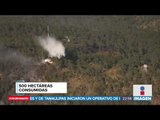 Incendio arrasó con 500 hectáreas en Veracruz | Noticias con Ciro Gómez Leyva