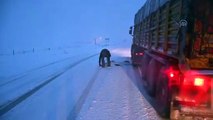 Tendürek Geçidi'nde ulaşıma kar ve tipi engeli - AĞRI