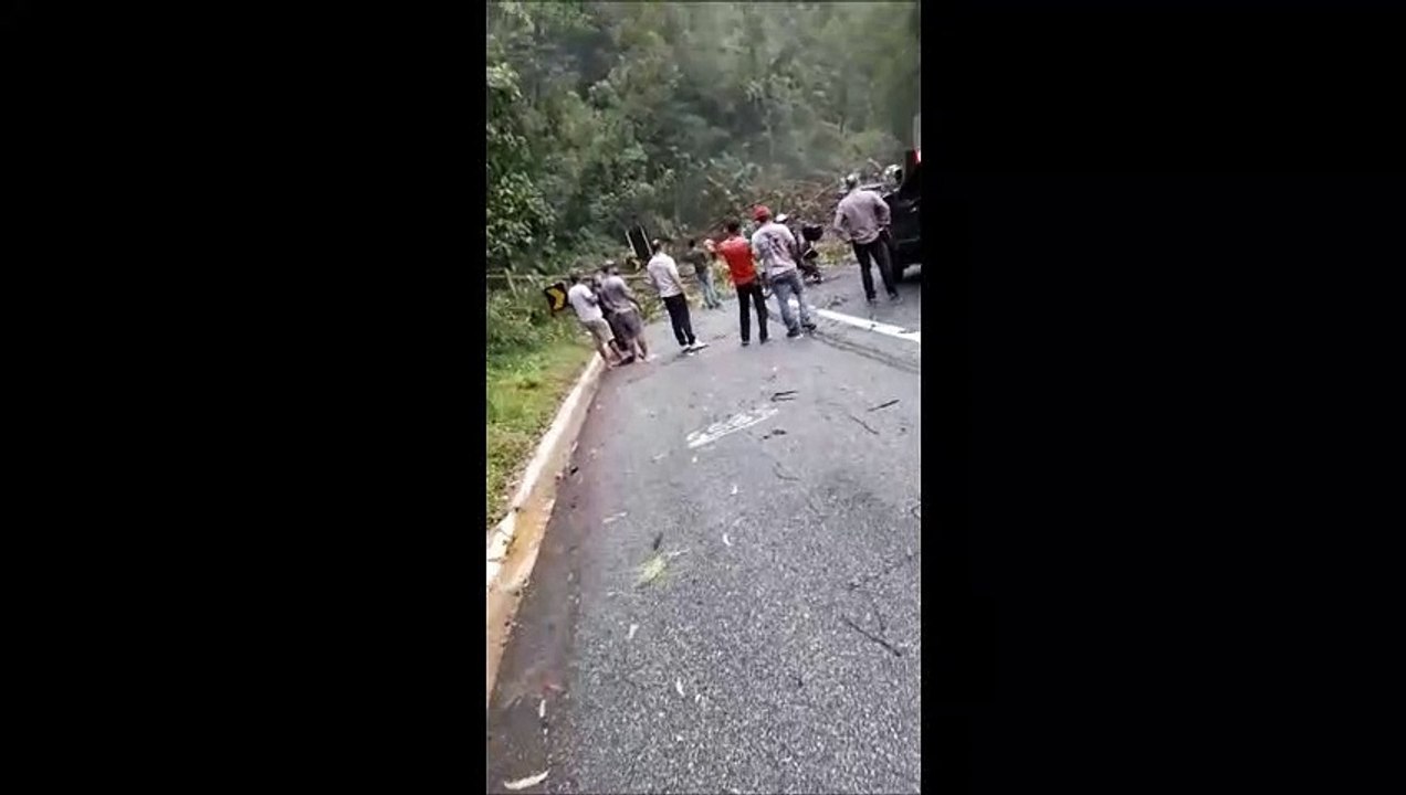 Chuva e ventania provocam queda de árvores em Domingos Martins