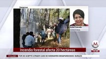 Incendio forestal afecta 20 hectareas en Veracruz