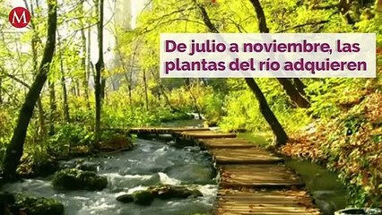 7 destinos imperdibles en America