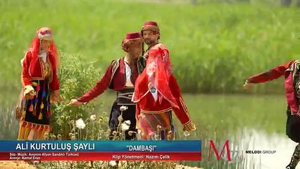Ali Kurtuluş Şaylı - Dambaşı