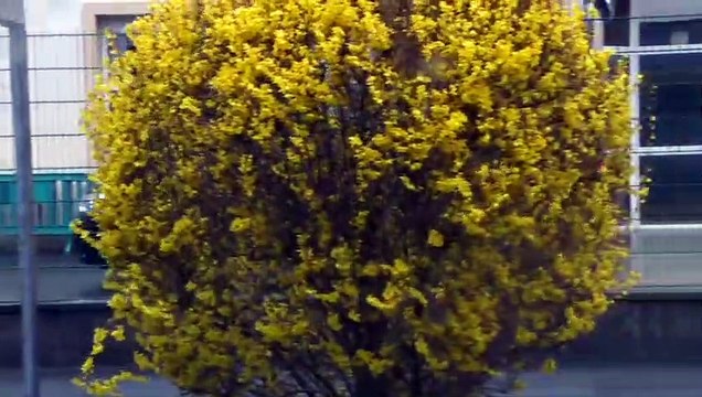 Las cajas negras del Boeing 737 MAX llegan a Francia