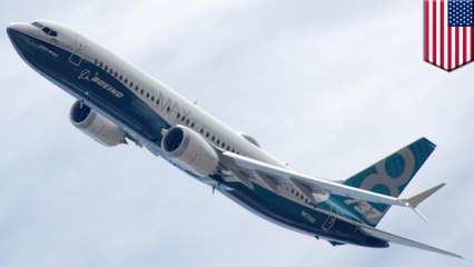 Recent 737 Max 8 crashes unrelated says aviation expert