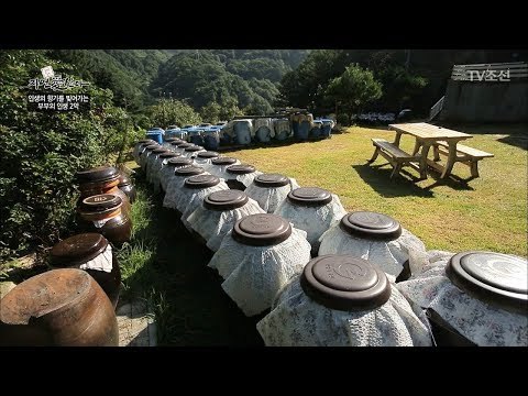 깊은 산속에 사는 발효 여왕! [자연愛산다] 25회 20171003