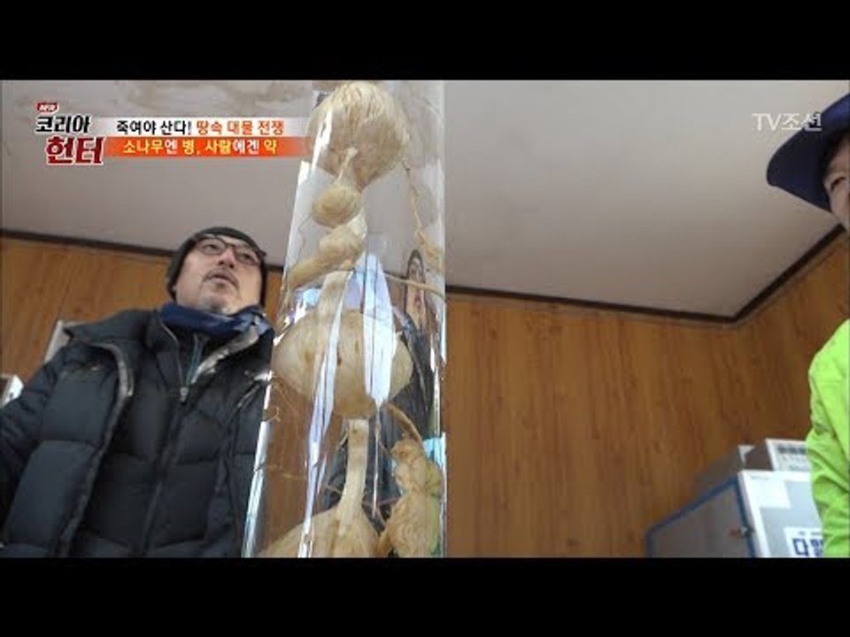 송근봉의 좋은 것들만 다 우려낸다는 송근봉 담금주! [뉴 코리아 헌터] 85회 201...