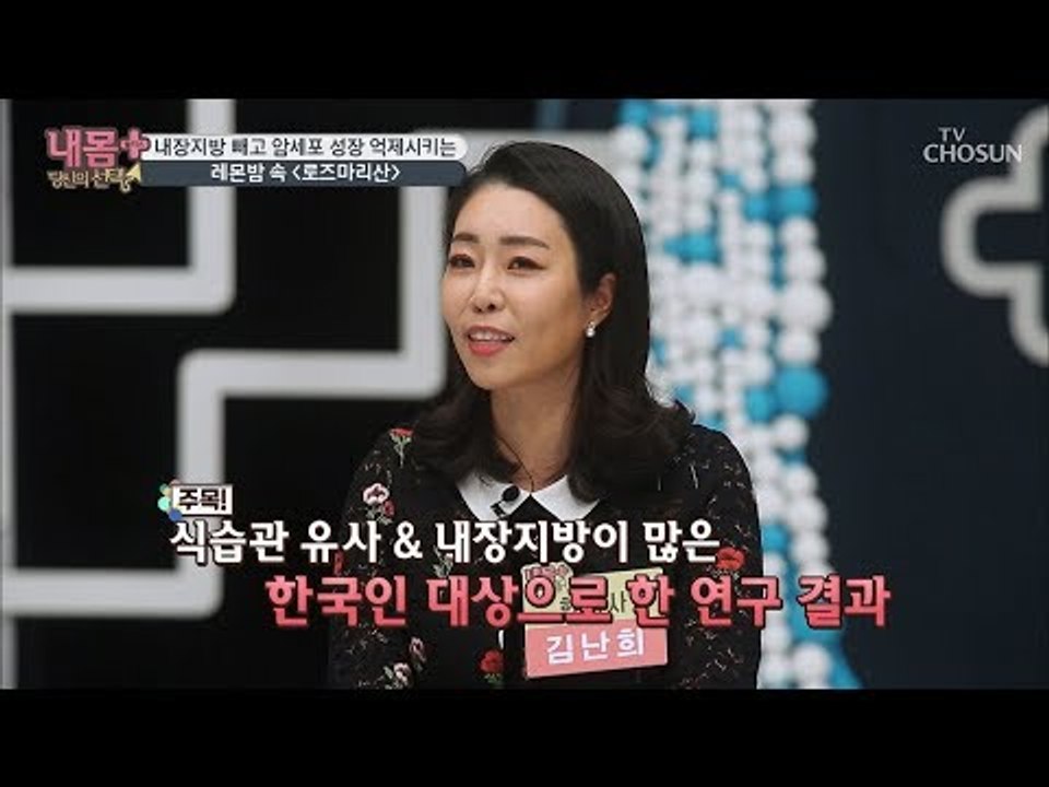 ‘레몬밤’으로 내장지방 20% 감소! 암세포 성장 억제까지?! [내 몸 플러스] 12...