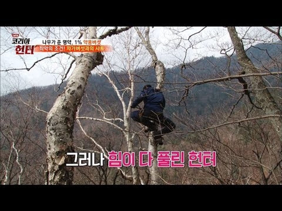 위험천만! 눈앞에 귀물을 두고 결국 포기한 헌터! [뉴 코리아 헌터] 76회 2017...