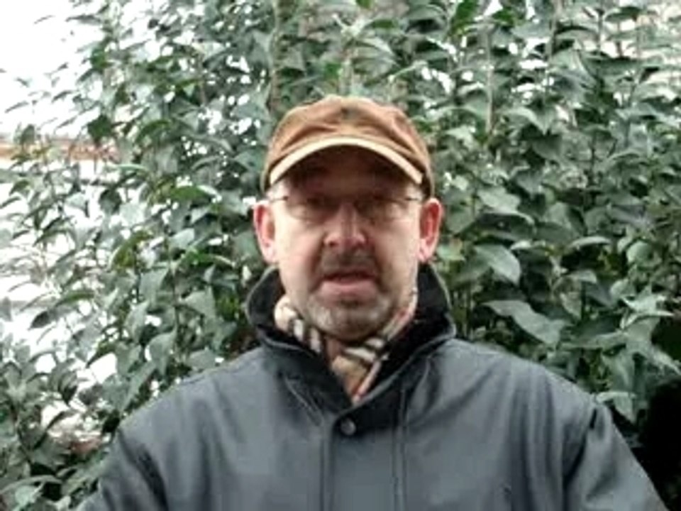 MOV00528 robineau