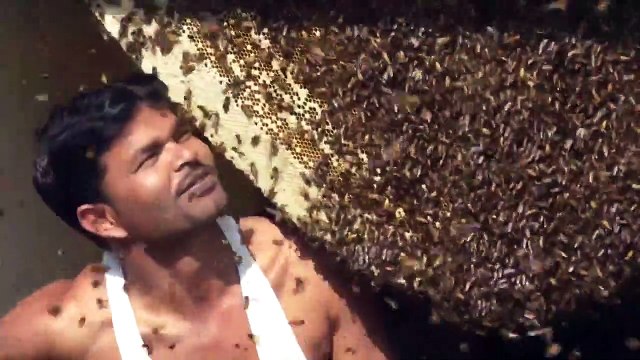 Arılara Fısıldayan Hintli Adam