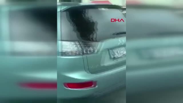 Yeni Zelanda'da İki Camiye Silahlı Saldırı: Çok Sayıda Ölü ve Yaralı Var