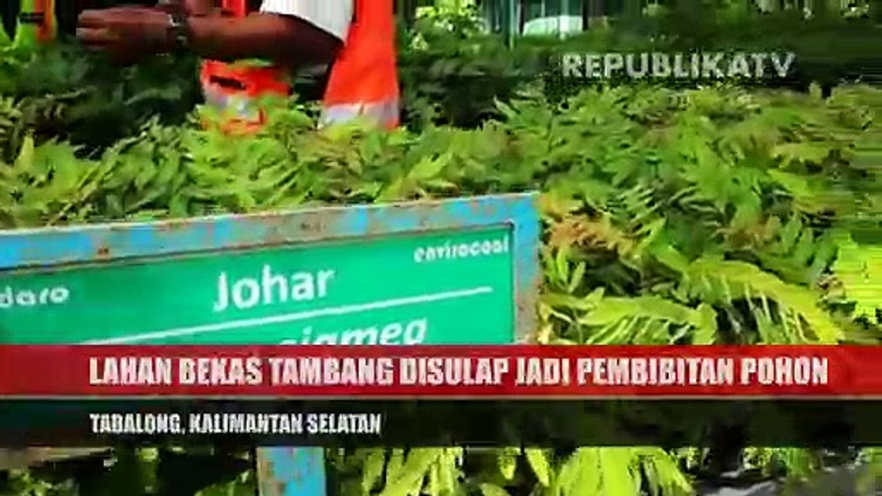 Reboisasi Hutan dari Lahan Bekas Tambang