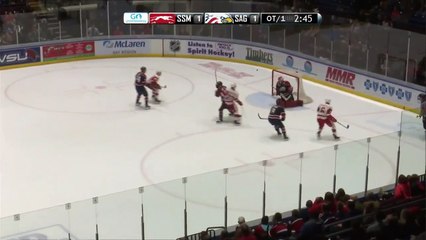 Barrett Hayton OT Winner vs SAG