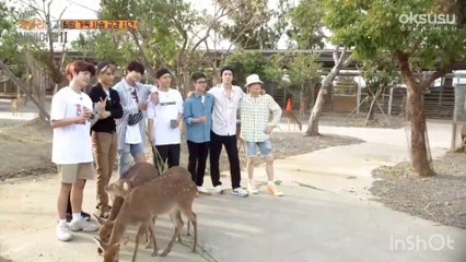 [JPNsub]EXO travel EP.23