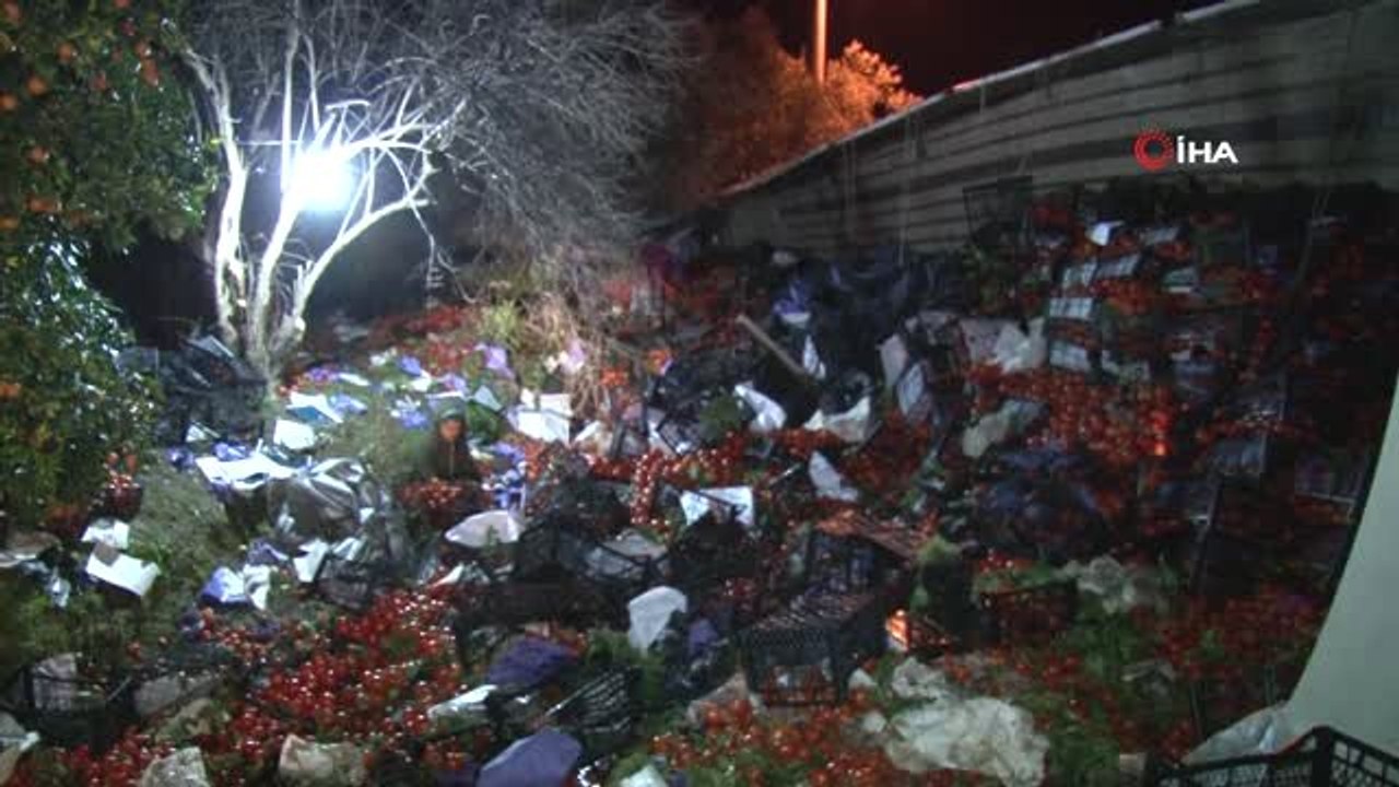 25 Ton Domates Yüklü Tır Devrildi...karayolu Domates Tarlasına Döndü