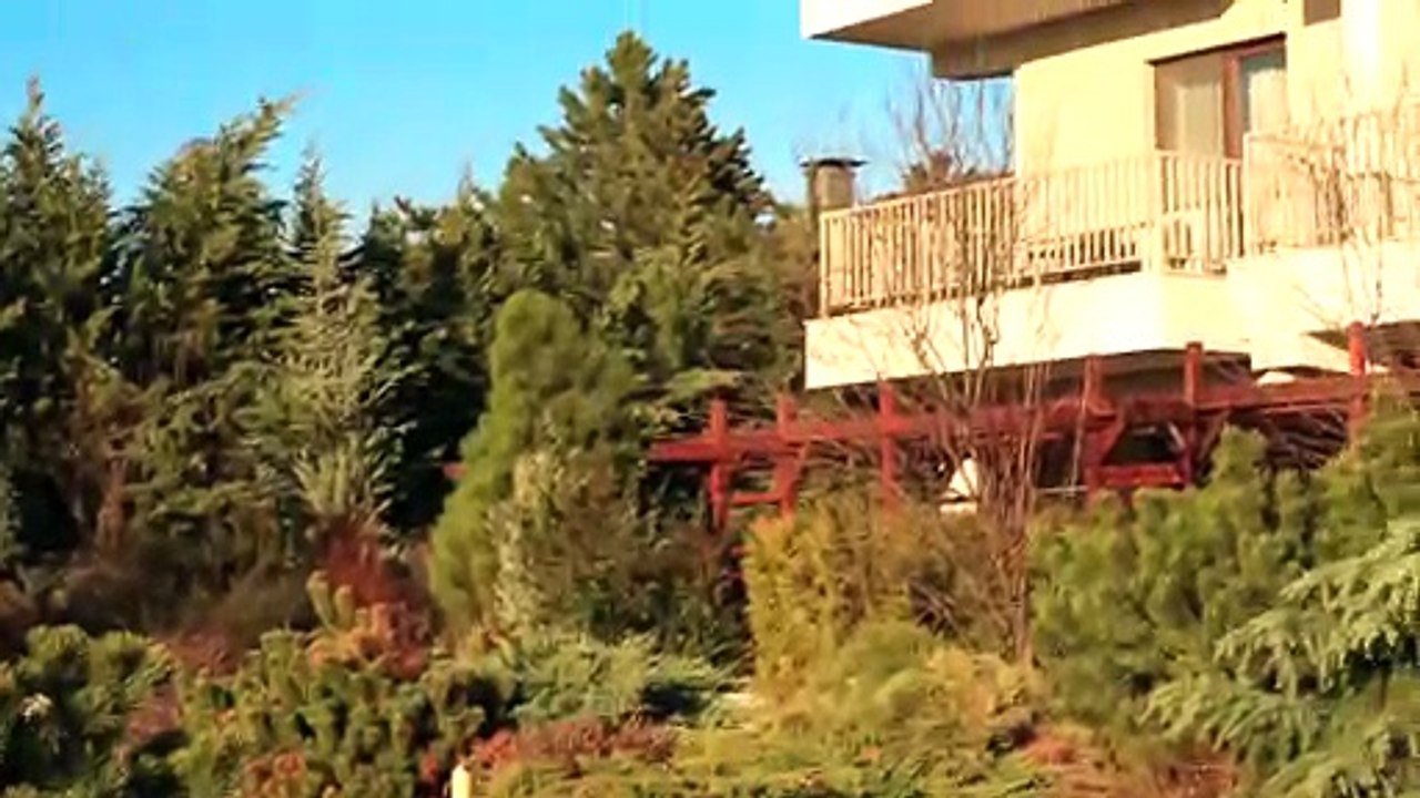 Iancu Nicolae / LUXURY APARTMENT/ Live Better