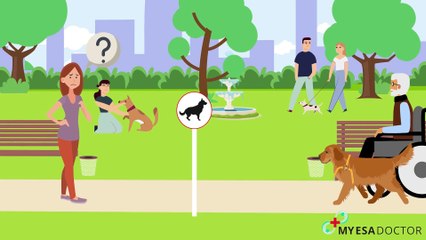 Debunked: Top 5 Misconceptions about Service Dogs and ESAs
