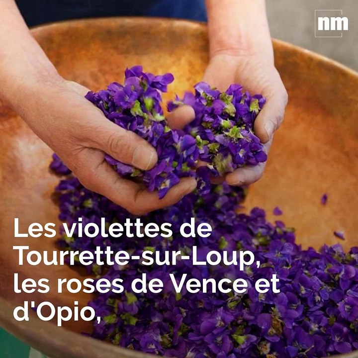 Les abonnés de Nice-Matin en pleine découverte sensorielle à la Confiserie Florian