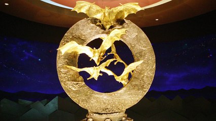 27억 황금박쥐 동상 노린 3인조 털이범 추적 / YTN