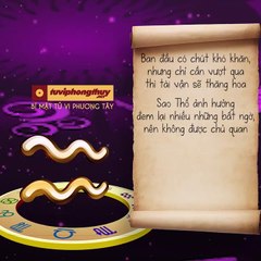 FB Vận mệnh của chòm sao Bảo Bình khi bước sang năm 2019