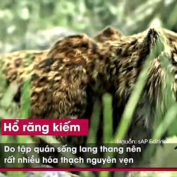 FB Những loài động vật cổ đại đã tuyệt chủng hàng ngàn năm trước sẽ có khả năng hồi sinh