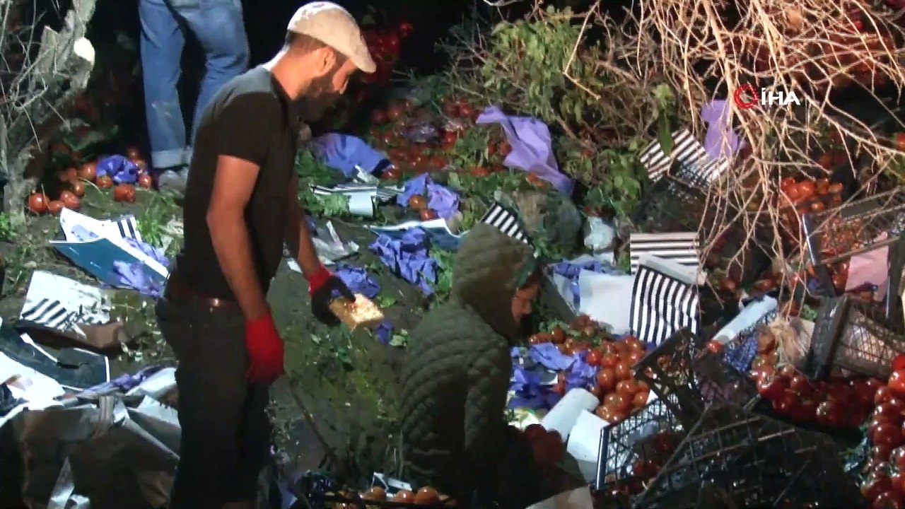25 Ton Domates Yüklü Tır Devrildi...Karayolu Domates Tarlasına Döndü-