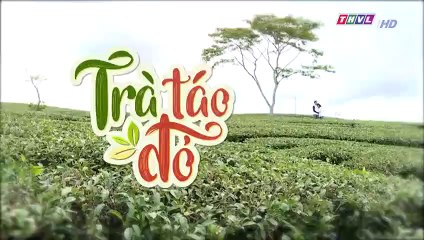 Trà Táo Đỏ Tập 23 - Phim Việt Nam THVL1 - Phim Tra Tao Do Tap 24 - Phim Tra Tao Do Tap 23