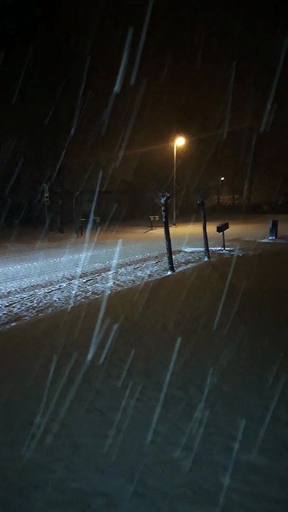 30-01-2019 : La neige