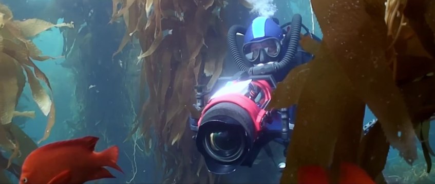 2040 Documentary Movie - trailer