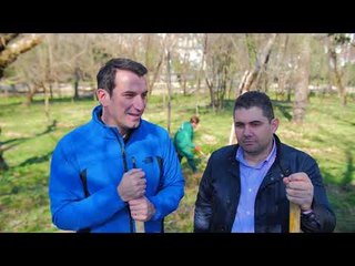 Report TV -Punonjësit e Autoritetit Rrugor Shqiptar dhurojnë pemë për Tiranën