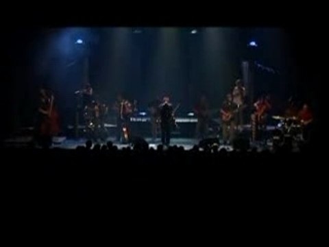 Debout sur le zinc - Poil aux yeux