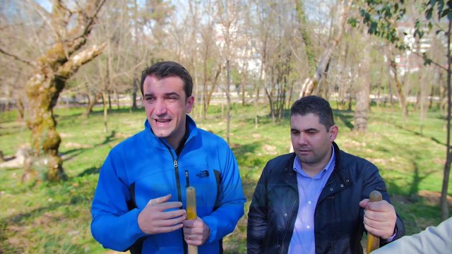 Qytetarët mbjellin pemë te parku i liqenit artificial - News, Lajme - Vizion Plus