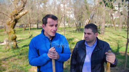 Vijon fushata e mbjelljes se pemeve